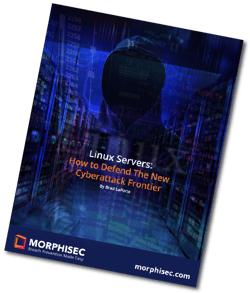 Securing Linux - white paper