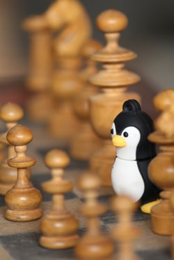 Linux Penguin on chess board